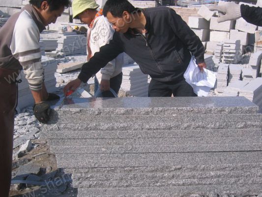 Product nameStone Inspection-1009