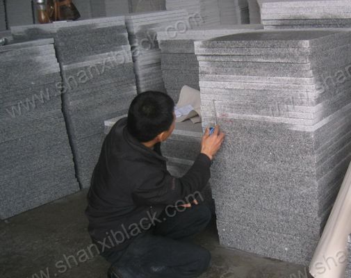 Product nameStone Inspection-1005